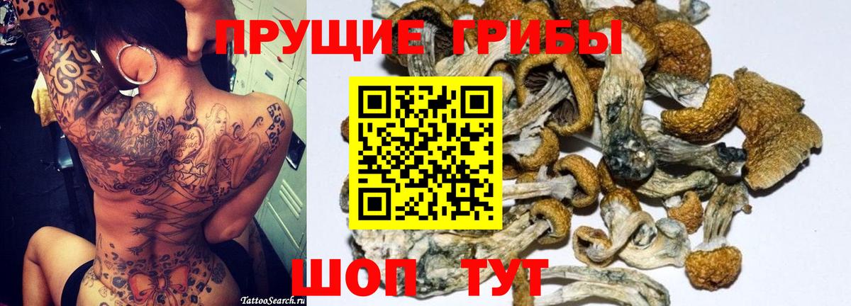 Ленинск-Кузнецкий  Псилоцибиновые грибы прущие грибы  Вход с VPN 